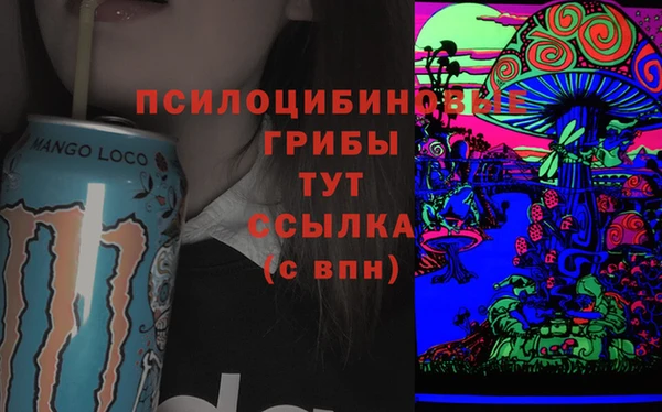 тгк Зеленокумск